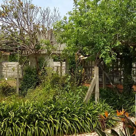 Holiday home Celanus Quinta Das Pedras I Francelos Vila Nova de Gaia